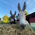 Le Relais De La Posterie Gembloux