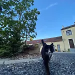 Le Relais De La Posterie