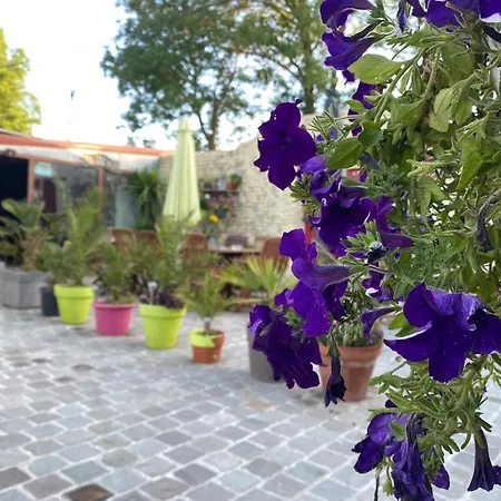 Le Relais De La Posterie Gospodarstwo wiejskie